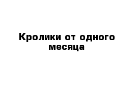 Кролики от одного месяца